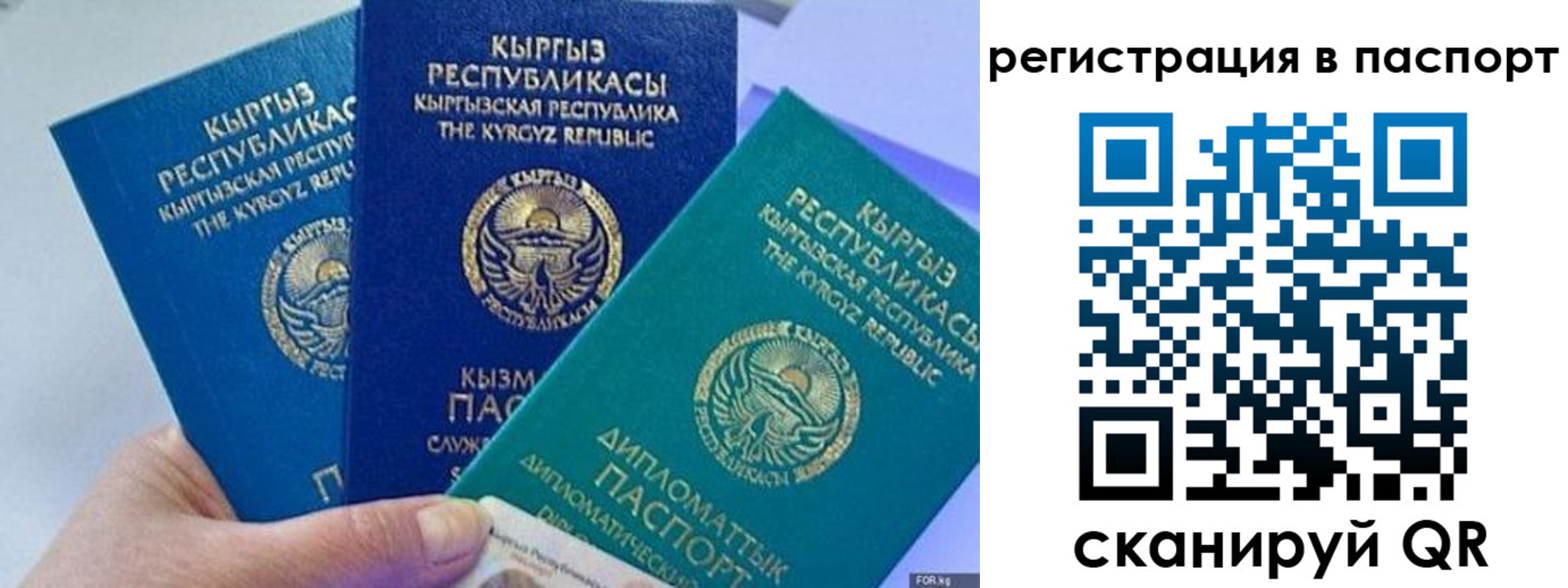 прописка 2025 в Торопеце